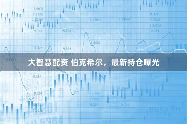 大智慧配资 伯克希尔，最新持仓曝光