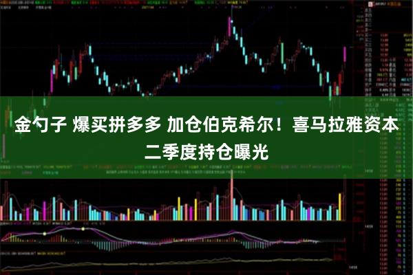 金勺子 爆买拼多多 加仓伯克希尔!喜马拉雅资本二季度持仓曝光