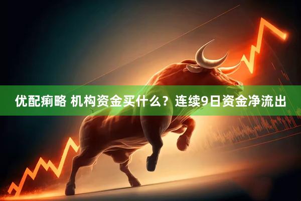 优配痢略 机构资金买什么？连续9日资金净流出